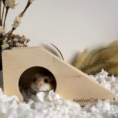 Show full view: Exotic Nutrition Climber Cave Small Pet Toy slide 5 of 6