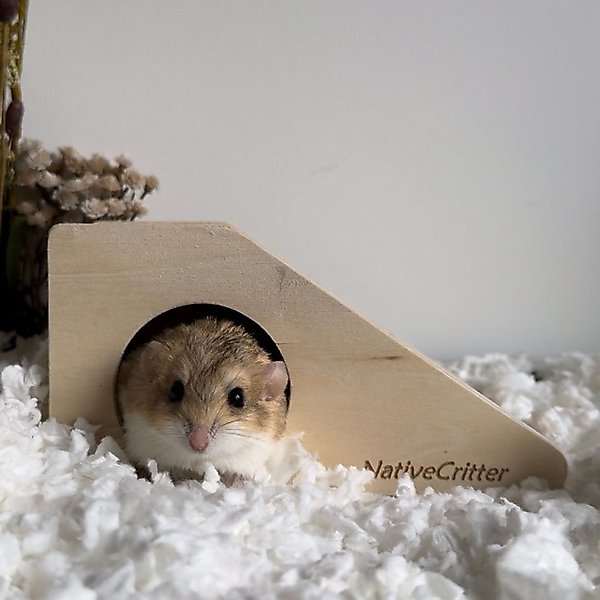Show full view: Exotic Nutrition Climber Cave Small Pet Toy slide 4 of 6