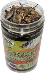 Exotic Nutrition Cricket Crunch Hedgehog Treats, 1.58-oz jar slide 2 of 4