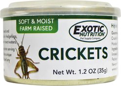 Exotic Nutrition Crickets Hedgehog Treats, 1.2-oz can