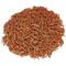 Show in main carousel: Exotic Nutrition Critter Selects Dried Mealworm Small Pet Treat, 1.41-oz bag slide 2 of 4