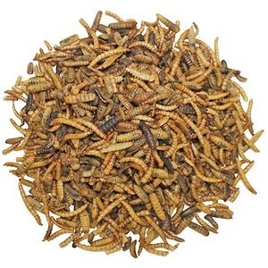 Exotic Nutrition Critter Selects EZ-Small Pet Worm Treat, 1.41-oz bag