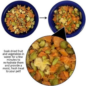 Exotic Nutrition Critter Selects Hedgie Bugs & Veggies Hedgehog Treats, 2.75-oz bag