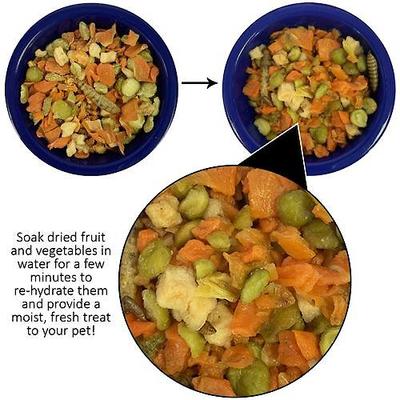 Show full view: Exotic Nutrition Critter Selects Hedgie Bugs & Veggies Hedgehog Treats, 2.75-oz bag slide 4 of 6