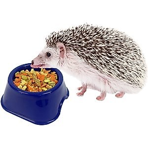 Exotic Nutrition Critter Selects Hedgie Bugs & Veggies Hedgehog Treats, 2.75-oz bag