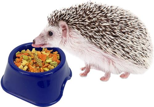 Show full view: Exotic Nutrition Critter Selects Hedgie Bugs & Veggies Hedgehog Treats, 2.75-oz bag slide 5 of 6