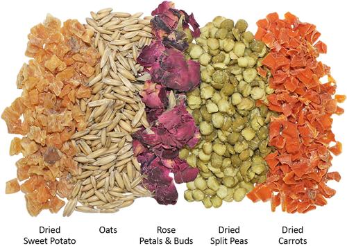 Show full view: Exotic Nutrition Critter Selects Herbivore Small Animal Treats, 3-oz bag slide 4 of 5