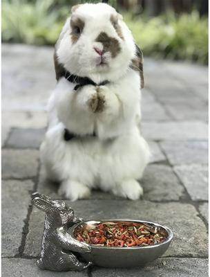 Show full view: Exotic Nutrition Critter Selects Herbivore Small Animal Treats, 3-oz bag slide 5 of 5