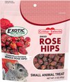 Exotic Nutrition Critter Selects Rose Hips Chinchilla Treats, 3-oz bag