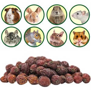 Exotic Nutrition Critter Selects Rose Hips Chinchilla Treats, 3-oz bag