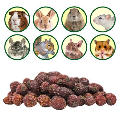 Show full view: Exotic Nutrition Critter Selects Rose Hips Chinchilla Treats, 3-oz bag slide 4 of 7
