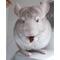 Show in main carousel: Exotic Nutrition Critter Selects Rose Hips Chinchilla Treats, 3-oz bag slide 5 of 7