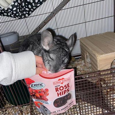 Show full view: Exotic Nutrition Critter Selects Rose Hips Chinchilla Treats, 3-oz bag slide 7 of 7
