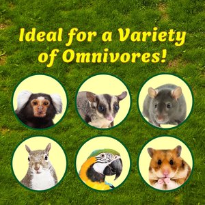 Exotic Nutrition Critter Selects Sweet Hibiscus Small Pet Treats, 1.75-oz bag