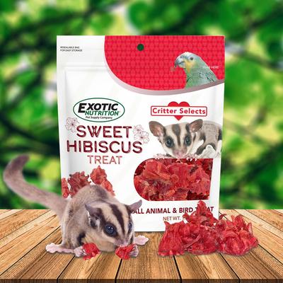 Show full view: Exotic Nutrition Critter Selects Sweet Hibiscus Small Pet Treats, 1.75-oz bag slide 3 of 8