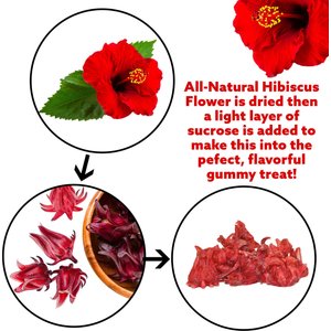 Exotic Nutrition Critter Selects Sweet Hibiscus Small Pet Treats, 1.75-oz bag