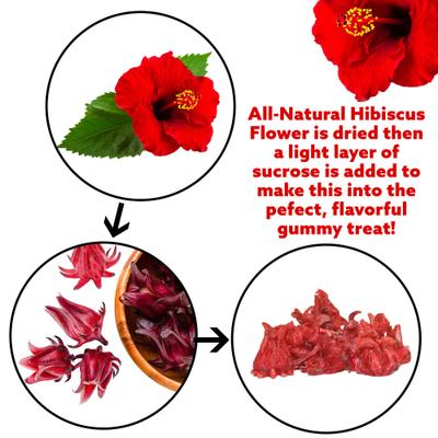 Show full view: Exotic Nutrition Critter Selects Sweet Hibiscus Small Pet Treats, 1.75-oz bag slide 8 of 8