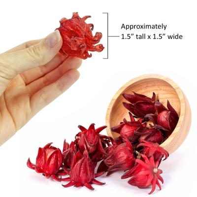 Show full view: Exotic Nutrition Critter Selects Sweet Hibiscus Small Pet Treats, 1.75-oz bag slide 7 of 8