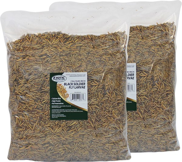 Exotic Nutrition Dried Black Soldier Fly Larvae Chicken Feed