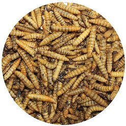 Exotic Nutrition Dried Black Soldier Fly Larvae Small Animal Treats, 1.5-oz bag slide 2 of 4