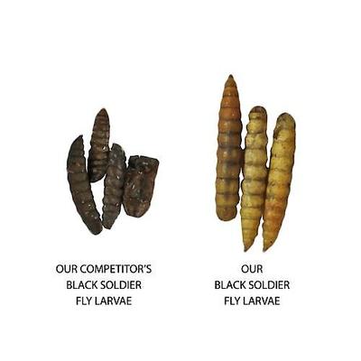 Show full view: Exotic Nutrition Dried Black Soldier Fly Larvae Small Animal Treats, 1.5-oz bag slide 3 of 5