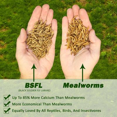 Show full view: Exotic Nutrition Dried Black Soldier Fly Larvae Small Animal Treats, 10-oz bag slide 4 of 5