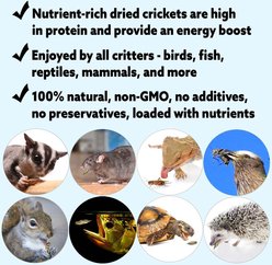 Exotic Nutrition Dried Crickets Small Pet Treats, 8-oz bag slide 2 of 5