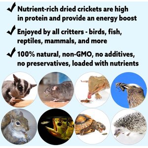 Exotic Nutrition Dried Crickets Small Pet Treats, 8-oz bag