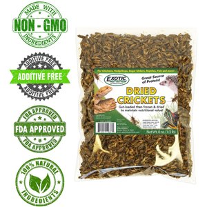 Exotic Nutrition Dried Crickets Small Pet Treats, 8-oz bag