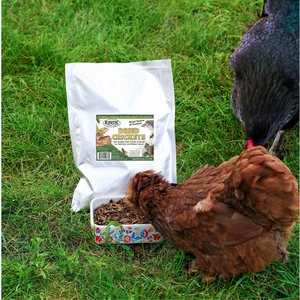 Exotic Nutrition Dried Crickets Small Pet Treats, 8-oz bag