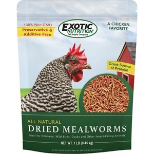 Exotic Nutrition Dried Mealworms, 1-lb bag