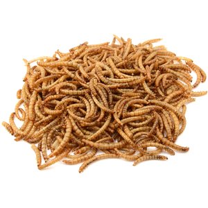 Exotic Nutrition Dried Mealworms, 1-lb bag