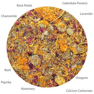 Show full view: Exotic Nutrition Egg-Cellent Bird Supplement, 2.2-oz bag slide 3 of 4