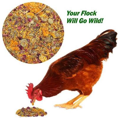 Show full view: Exotic Nutrition Egg-Cellent Bird Supplement, 2.2-oz bag slide 4 of 4