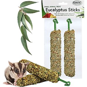 Exotic Nutrition Eucalyptus Sticks Sugar Glider Treats, 2 count