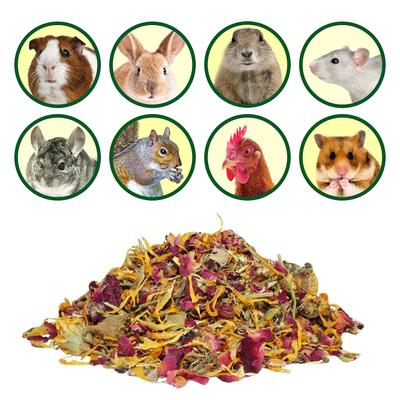 Show full view: Exotic Nutrition Flower Fusion Small Pet Treats, 0.88-oz bag slide 4 of 5