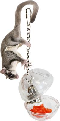 Show full view: Exotic Nutrition Forage Globe Small Animal Toy slide 5 of 8