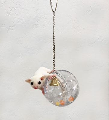 Show full view: Exotic Nutrition Forage Globe Small Animal Toy slide 6 of 8