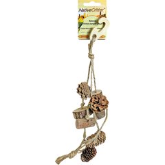 Exotic Nutrition Forest Dangle Chew Small Pet Chew Toy