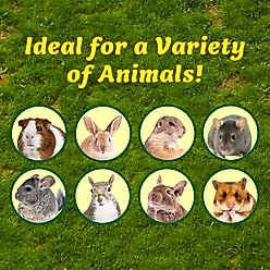 Exotic Nutrition Forest Dangle Chew Small Pet Chew Toy slide 2 of 3