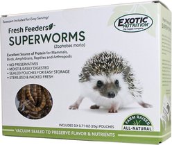 Exotic Nutrition Fresh Feeders Superworms Reptile Food, 5-oz box