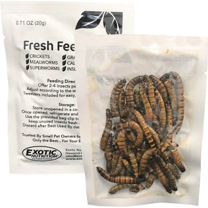 Exotic Nutrition Fresh Feeders Superworms Reptile Food, 5-oz box