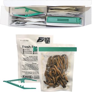 Exotic Nutrition Fresh Feeders Superworms Reptile Food, 5-oz box