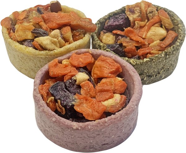 Exotic Nutrition Fruit & Veggie Tarts Small Pet Treat, 1-oz bag, 12 count