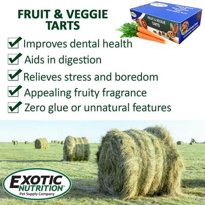 Show full view: Exotic Nutrition Fruit & Veggie Tarts Small PetTreat, 1-oz bag, 12 count slide 6 of 10