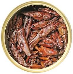 Exotic Nutrition Grasshoppers Hedgehog Treats, 1.2-oz can slide 2 of 6
