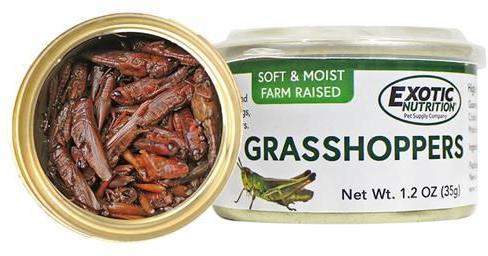 Show full view: Exotic Nutrition Grasshoppers Hedgehog Treats, 1.2-oz can slide 4 of 6