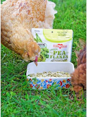 Show full view: Exotic Nutrition Green Pea Flakes Small Pet Treats, 1-lb slide 5 of 7