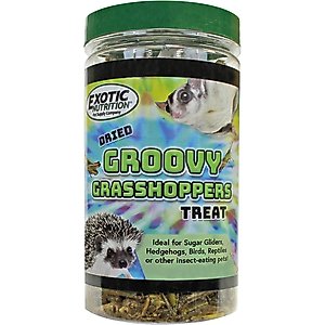 Exotic Nutrition Groovy Grasshoppers Small Animal Treats, 1.41-oz jar