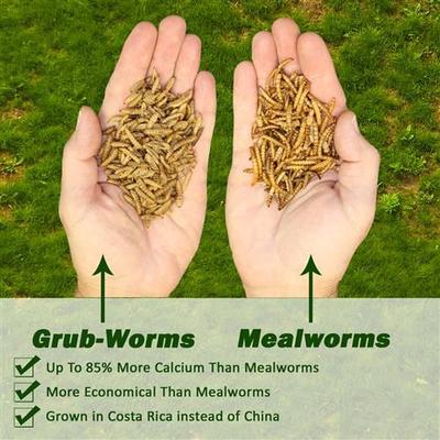 Show full view: Exotic Nutrition Grub-Worms Dried Black Soldier Fly Larvae Bird food, 5-lb bag slide 2 of 9